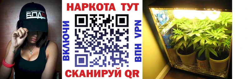 Купить наркотик аптеки Ставрополь АМФ APVP МЕФ МАРИХУАНА