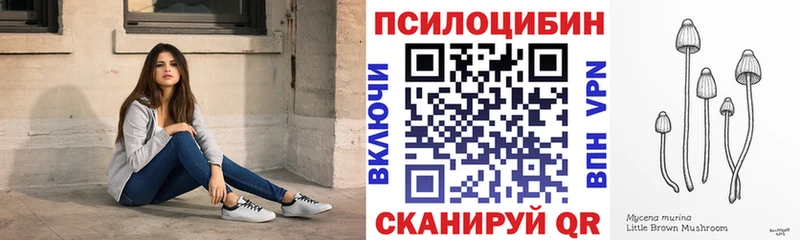 Псилоцибиновые грибы ЛСД  Ставрополь 