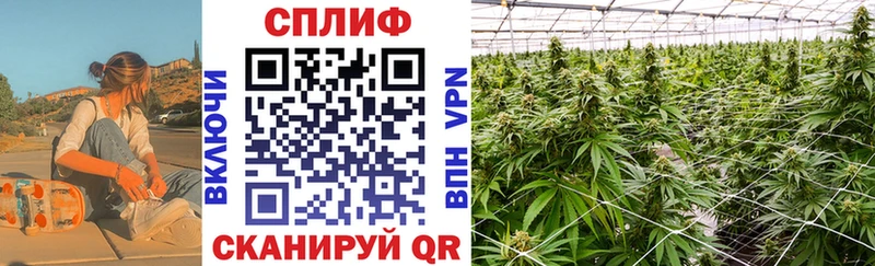 Конопля LSD WEED  купить  сайты  Ставрополь 